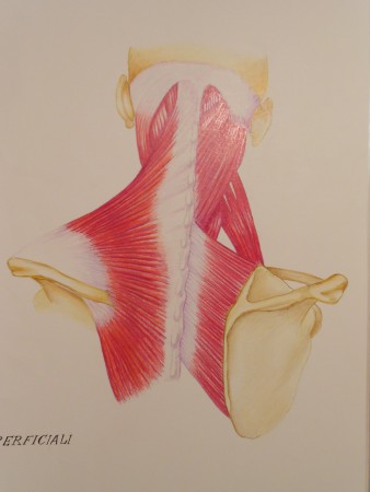 PASTELLI SU CARTONCINO