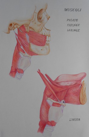 PASTELLI SU CARTONCINO