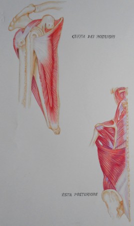 PASTELLI SU CARTONCINO