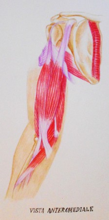 PASTELLI SU CARTONCINO