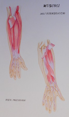 PASTELLI SU CARTONCINO
