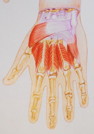PASTELLI SU CARTONCINO