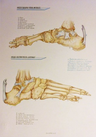 pastelli su cartoncino